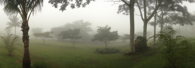 A foggy afternoon at the University for Peace campus