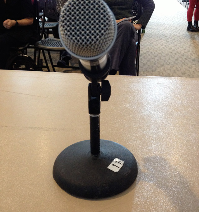 View from a panel table at the Vida Vegan Conference