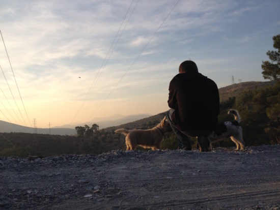 Taking in the view with two dogs in KÄ±zÄ±lagÌ†acÌ§, Turkey