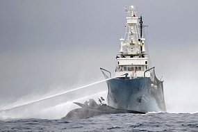 Whaling ship