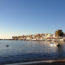 Aegina Island for Vegans