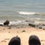 Photo of a rocky beach with white waves and a pair of shoes in the foreground.