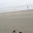 Pacific Ocean