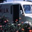 forks over knives milk truck