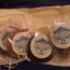 Cookies and granola from Dauphin Bakery.