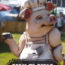 Cover for Farm to Fable