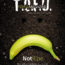 Cover for Issue 11