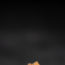 Image contains a black background with a small bit of light brown peaking up from the bottom.